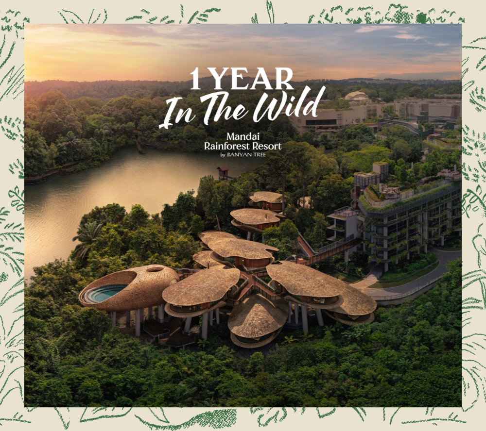 MRR One Year In The Wild_Mandai Rainforest Resort.png MRR One Year In The Wild_Mandai Rainforest Resort.png